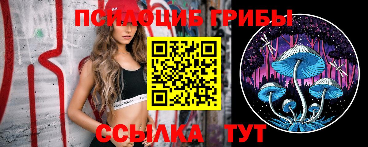 Галлюциногенные грибы GOLDEN TEACHER  Вход с VPN  Саянск 